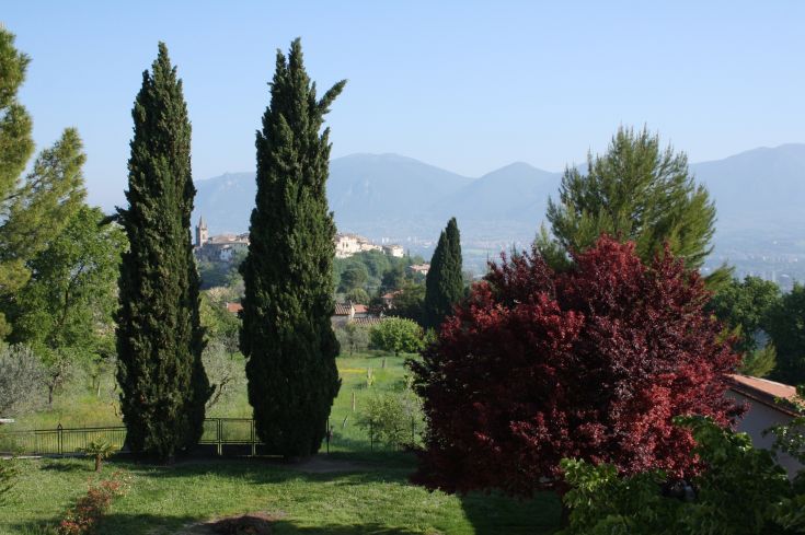 Scena che presenta cipressi e vegetazione colorata con un panorama di colline sullo sfondo.