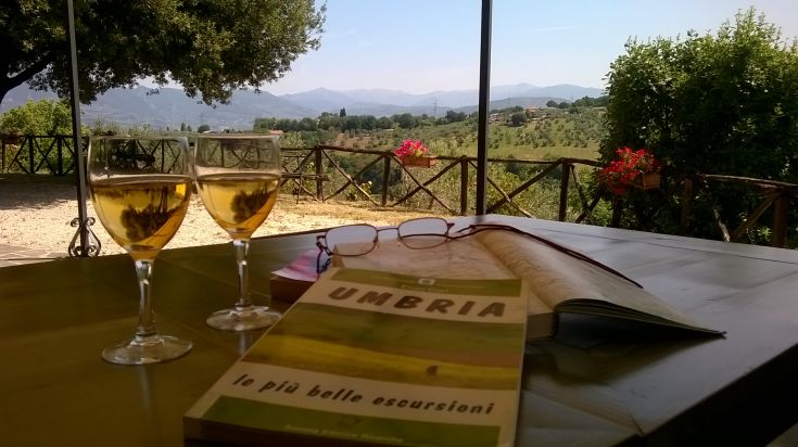 Due bicchieri di vino si riflettono in un panorama umbro con un libro aperto in un ambiente tranquillo.