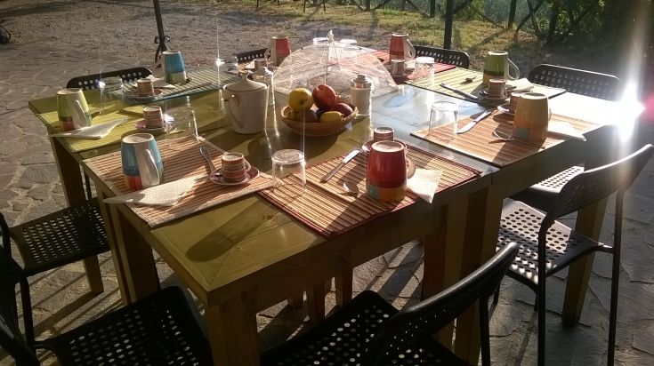 Una tavola apparecchiata con tazzine variopinte e frutta fresca, ideale per una colazione all'aperto.