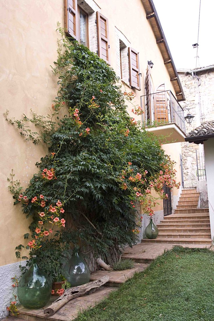 Un casale dell'Ottocento situato in Umbria, circondato da un giardino con piante fiorite e con ingresso autonomo.