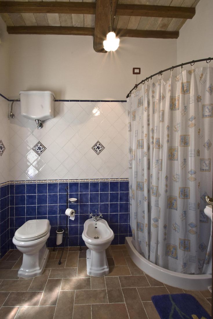 Bagno in stile tradizionale, caratterizzato da piastrelle blu e sanitari in ceramica.