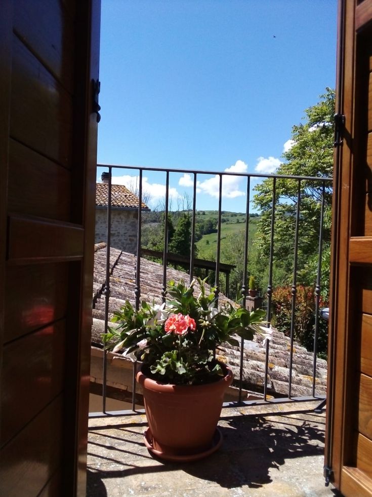 Scena tranquilla di un balcone con un vaso di fiori, circondato dalla natura.