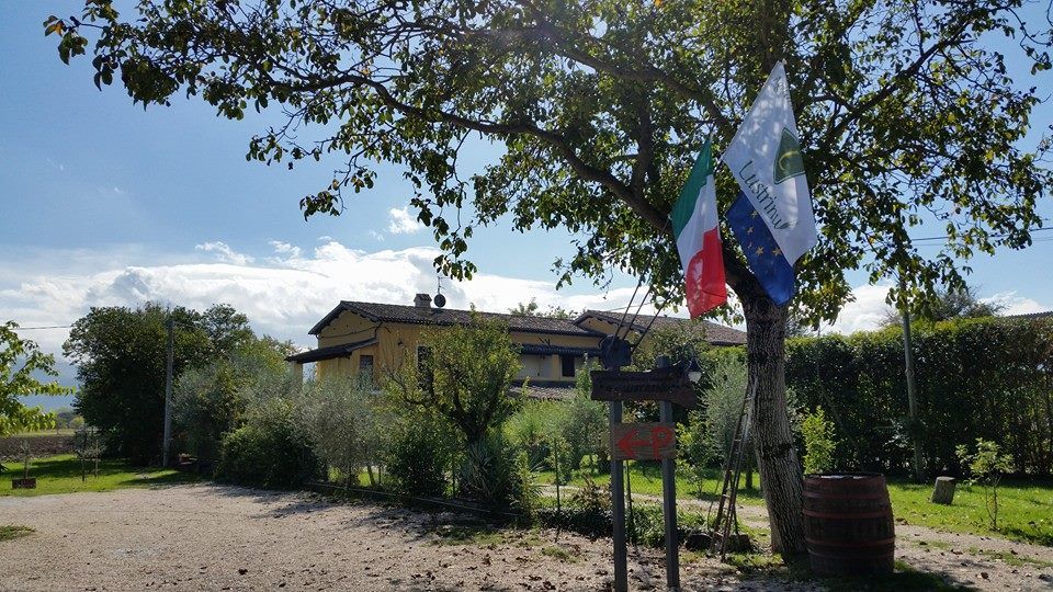 Casolare ristrutturato in campagna, circondato da alberi e dotato di un ampio giardino con animali.