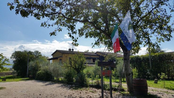 Ferme rénovée à la campagne, entourée d'arbres et dotée d'un grand jardin avec des animaux.
