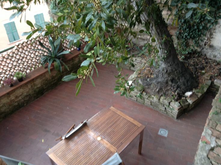 Un'area tranquilla con un tavolo di legno, un albero che offre ombra e diverse piante verdi.