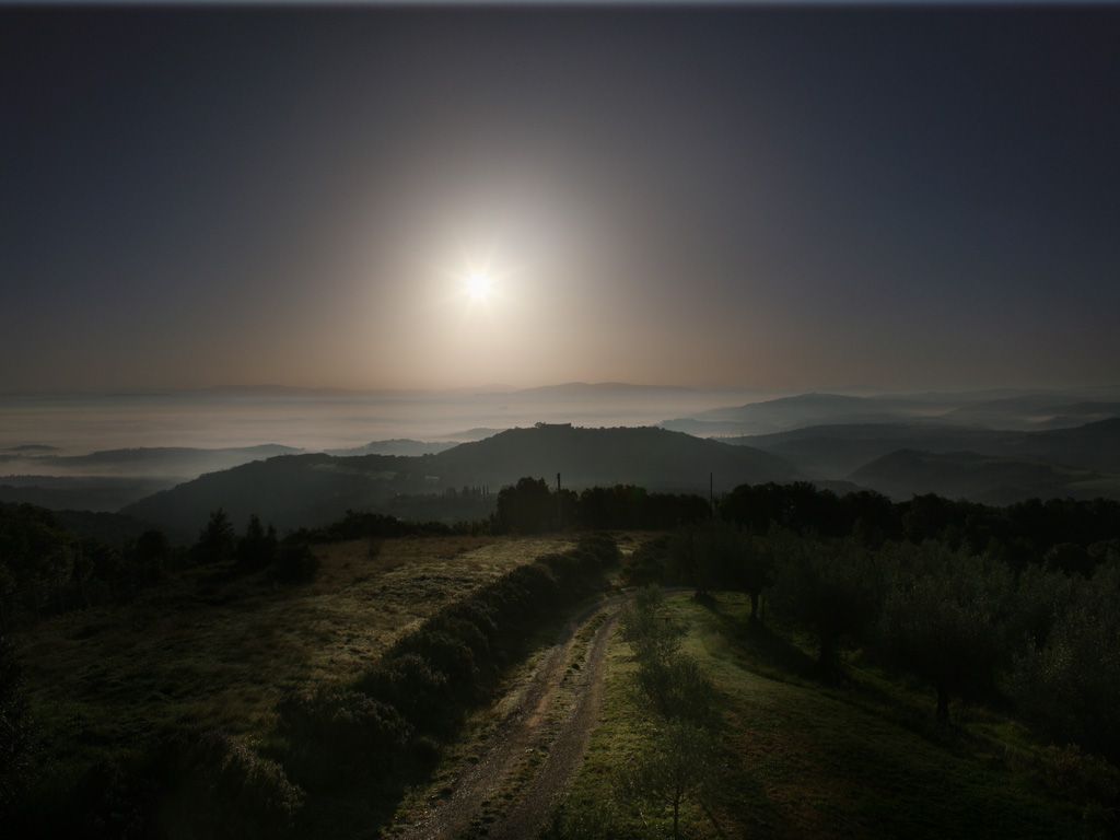 Scena tranquilla con il sole che sorge su una valle circondata dalla nebbia e immersa nella natura.