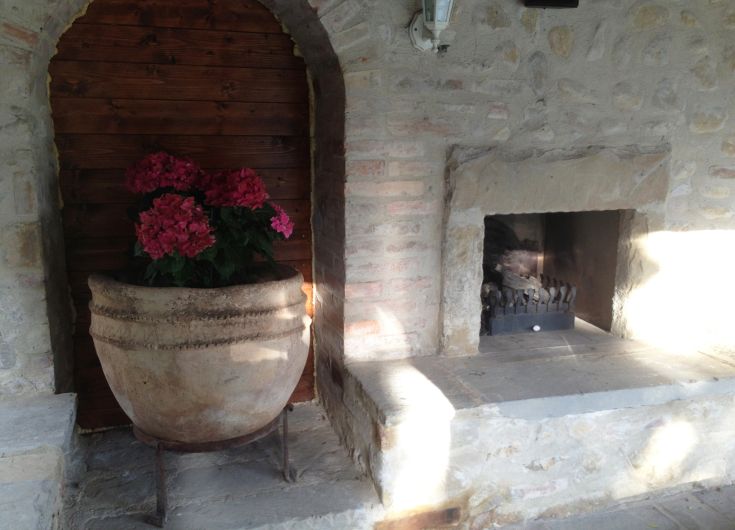 Une zone accueillante avec un pot de fleurs et une cheminée dans un cadre traditionnel.
