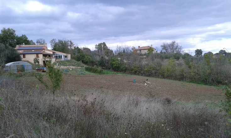 Eine ländliche Umgebung mit Gebäuden und einem Acker, umgeben von Vegetation.