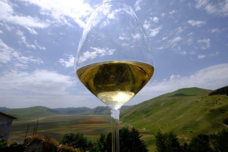 Ein Glas Weißwein in der Hand vor einer beeindruckenden Berglandschaft.