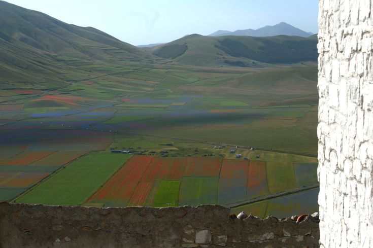 Eine Szene mit blühenden Feldern und Bergen im Hintergrund, perfekt für eine Auszeit vom Alltag.