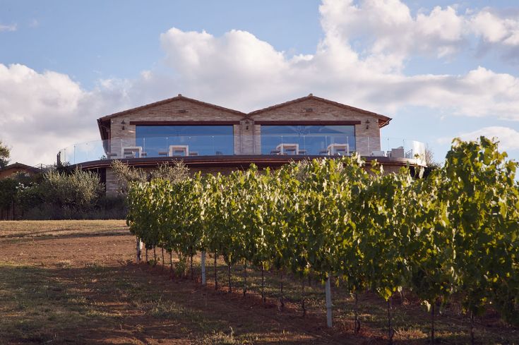 An ancient rural residence surrounded by vineyards, featuring a pool and panoramic views of the surroundings.
