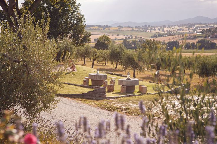 Relax at Tenuta dei Mori, surrounded by 20 hectares of olive groves and vineyards near a major Umbrian town.