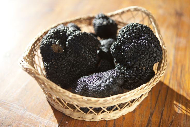 Un cesto di tartufi neri freschi, tipico prodotto della gastronomia umbra, ricco di sapore.