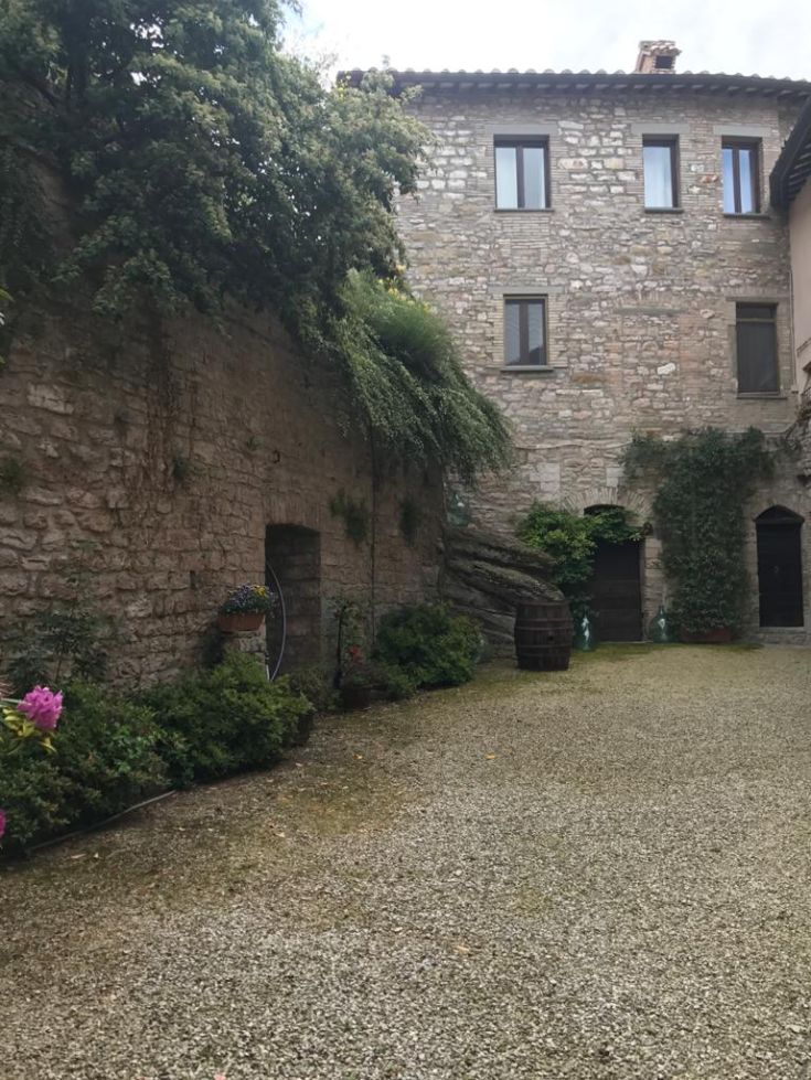 A tranquil courtyard with stone walls and green plants creating a welcoming atmosphere.