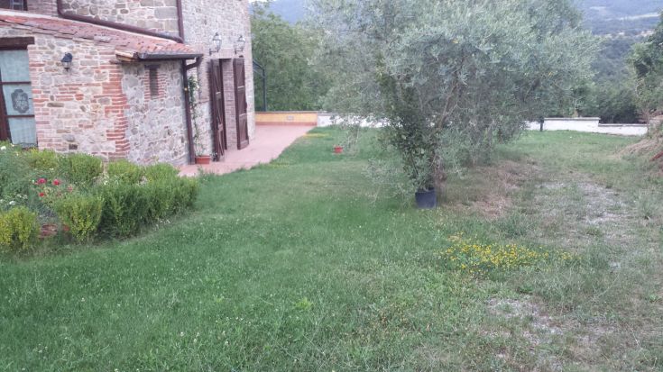 A serene landscape in Umbria featuring a stone palace and lush greenery for a relaxing atmosphere.