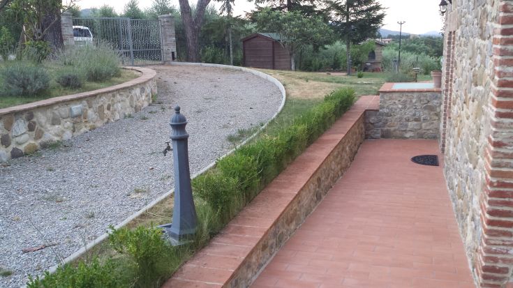 A pathway surrounded by greenery, featuring trees and plants, evoking a sense of calm and serenity in a rustic setting.