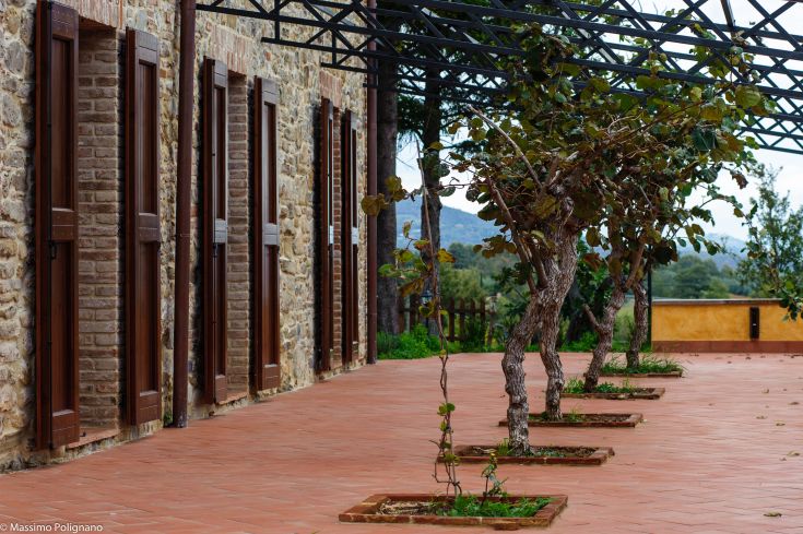 Scene of the estate with rows of vines, wooden doors, and terracotta flooring.