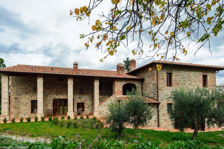 Stone cottage immersed in nature, surrounded by vineyards and olive groves, a place of tranquility.