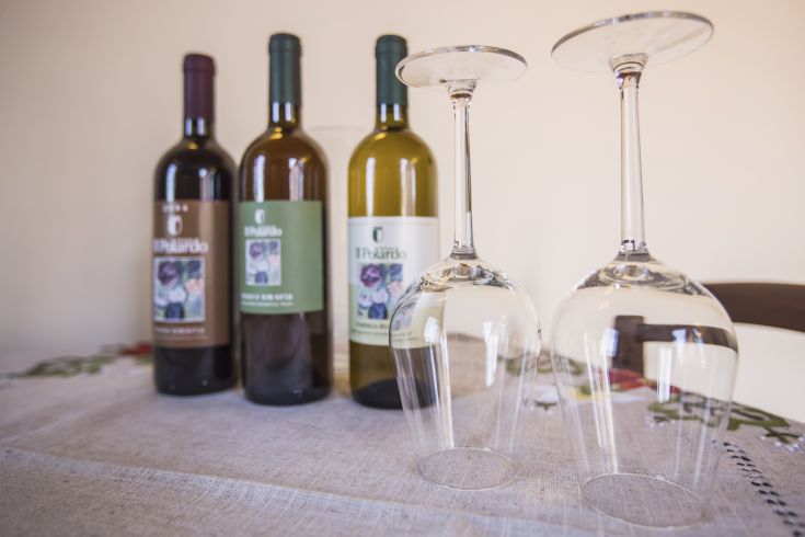 Two glasses of wine beside bottles from Tenuta Il Polardo, in a cozy and family-friendly setting.