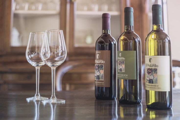 A selection of wines arranged with glasses ready for a tasting in a cozy atmosphere.