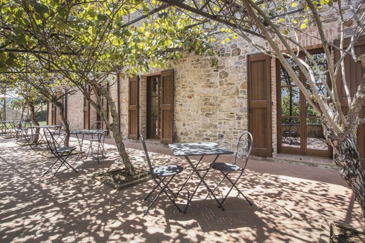 A serene relaxation corner surrounded by vineyards and olive trees, featuring outdoor tables under a pergola.