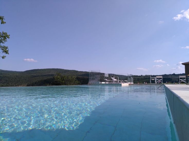 View of a pool surrounded by lush greenery and tranquil hills.