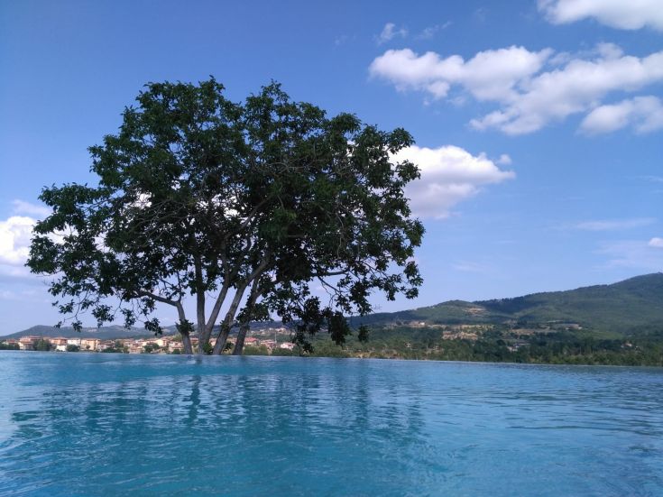 A unique tree reflects in a blue lake beneath a clear sky, creating a serene atmosphere.