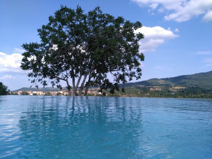 A tree stands by a pool, surrounded by green hills and under a clear sky.