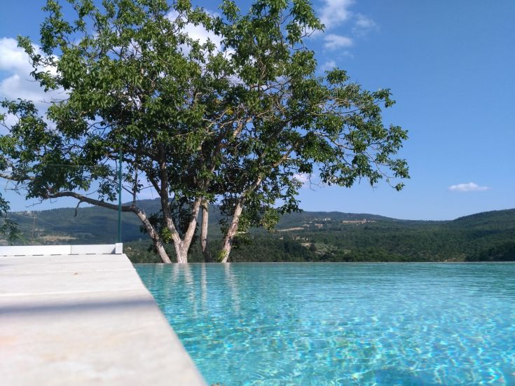 A large swimming pool surrounded by lush vegetation and a nearby green tree in a peaceful setting.