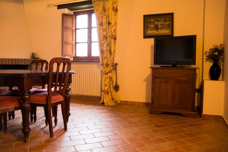 Environnement simple avec table à manger et télévision, offrant une ambiance calme.