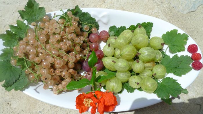 Una selezione di frutta fresca disposta su un piatto, che include uva e uva spina.