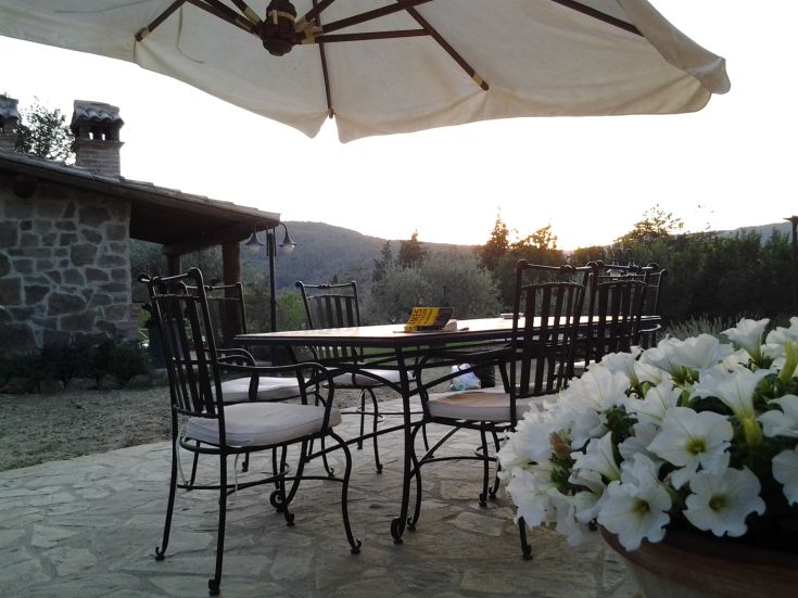 Spazio all'aperto con tavolo e sedie, immerso nella natura con piante verdi e fiori bianchi.