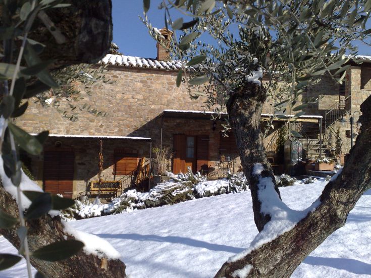 Un palazzo in pietra circondato da ulivi, collocato in un ambiente tranquillo dell'Umbria durante l'inverno.