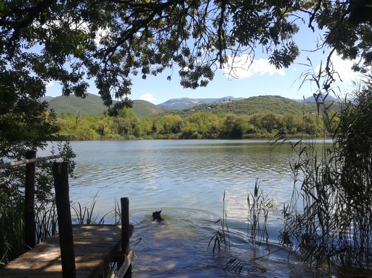 Panorama tranquillo di un lago circondato da dolci colline e alberi, con un semplice molo in legno.