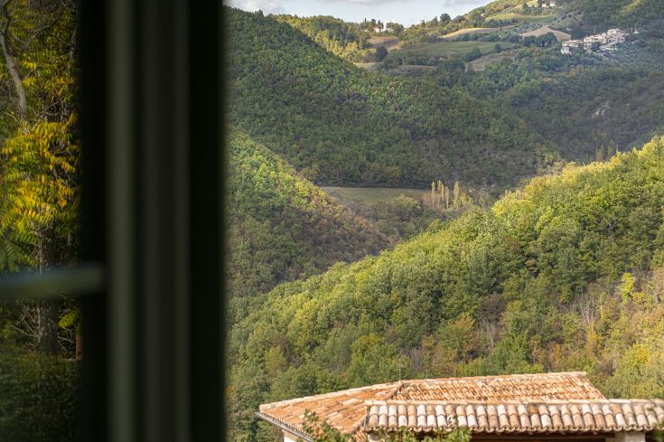 Scena di colline verdi, ricoperte di alberi e vegetazione, tipiche della natura umbra.