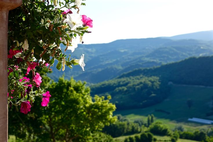 Un panorama di un campo di fiori variopinti circondato da un paesaggio naturale umbro.