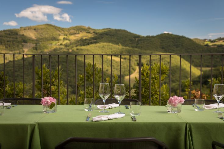 An outdoor table surrounded by plants, overlooking green hills.