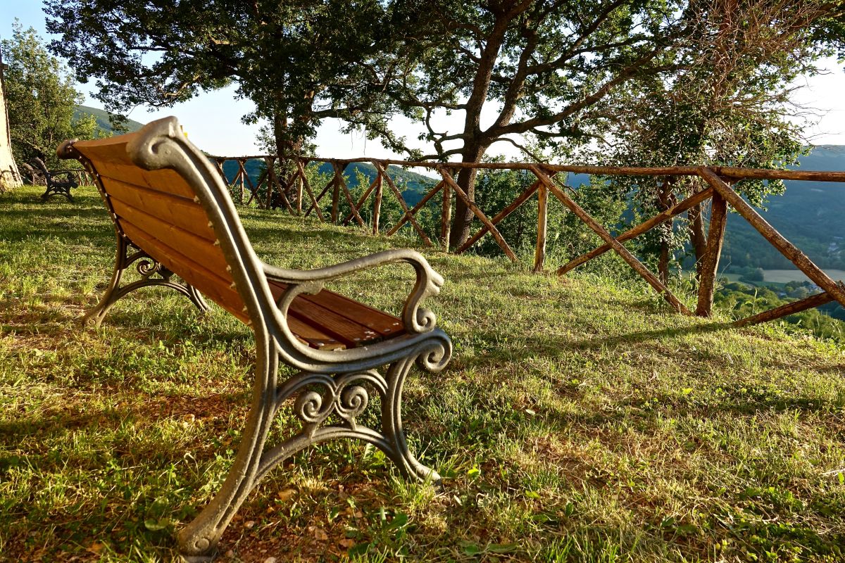Panchina inserita in un ambiente verde, adatta per godersi attimi di pace e osservare la natura.