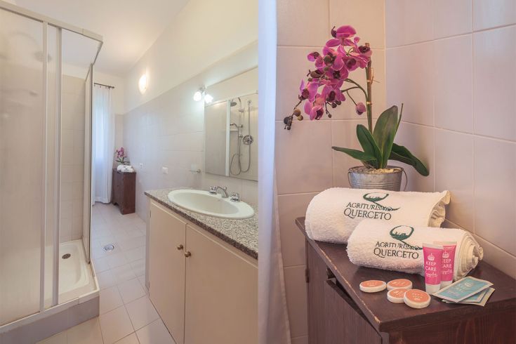 Bagno semplice in agriturismo, dotato di doccia e decorazioni leggere.