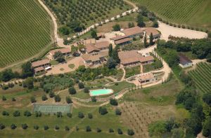 A view of a villa with a swimming pool, surrounded by vineyards and well-kept gardens.