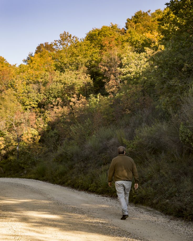 Una camminata in un bosco durante l'autunno, con alberi dalle tonalità calde e un sentiero in terra.