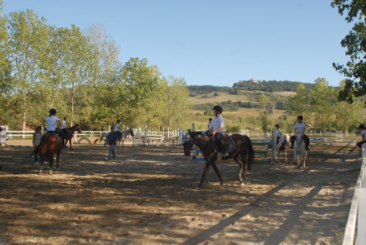Attività di equitazione con cavalieri che si allenano in un contesto naturale tranquillo.