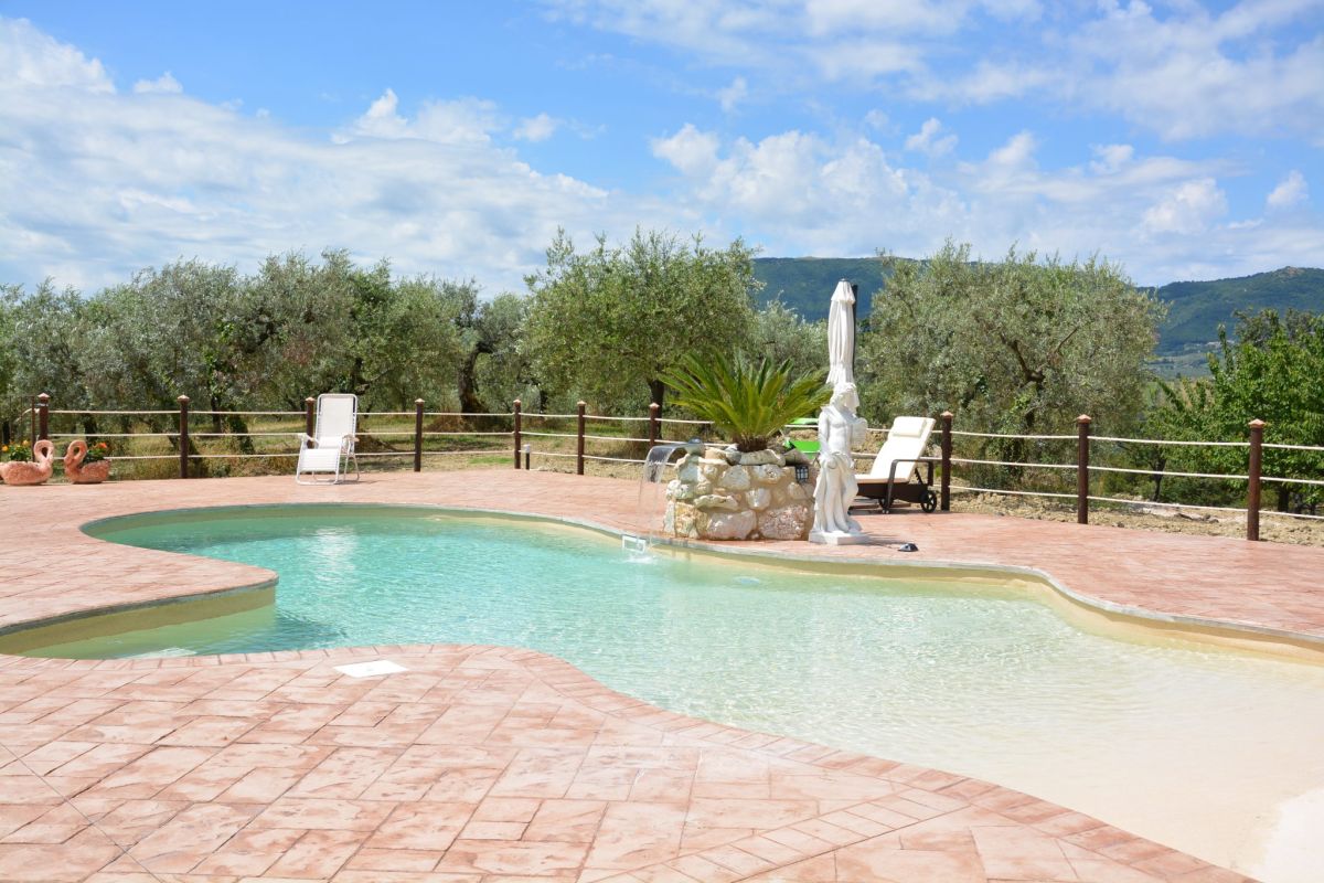 A swimming pool in a natural garden, surrounded by olive trees, offering a serene atmosphere.