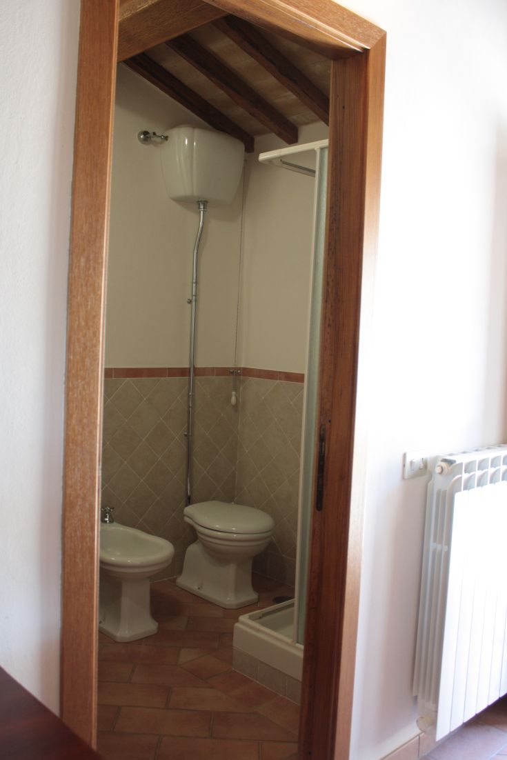 A cozy bathroom furnished with a shower and fixtures, featuring a welcoming and functional atmosphere.