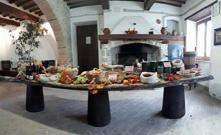 A table set with local specialties and wine, in a simple and welcoming environment.