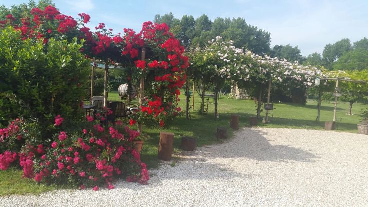 Un jardin fleuri avec des roses rouges et blanches, idéal pour des moments tranquilles en plein air.