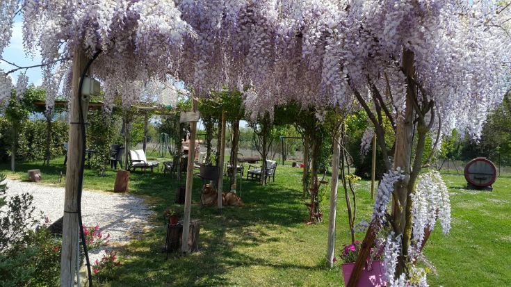 Un espace tranquille avec des glycines en fleurs et des sièges confortables pour se détendre.