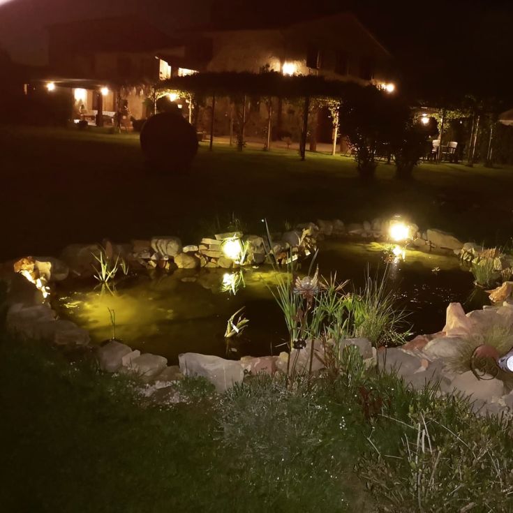 Un étang tranquille éclairé dans un jardin la nuit, avec un bâtiment en arrière-plan.