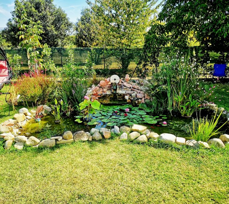 Un étang entouré de végétation verte et de fleurs colorées.