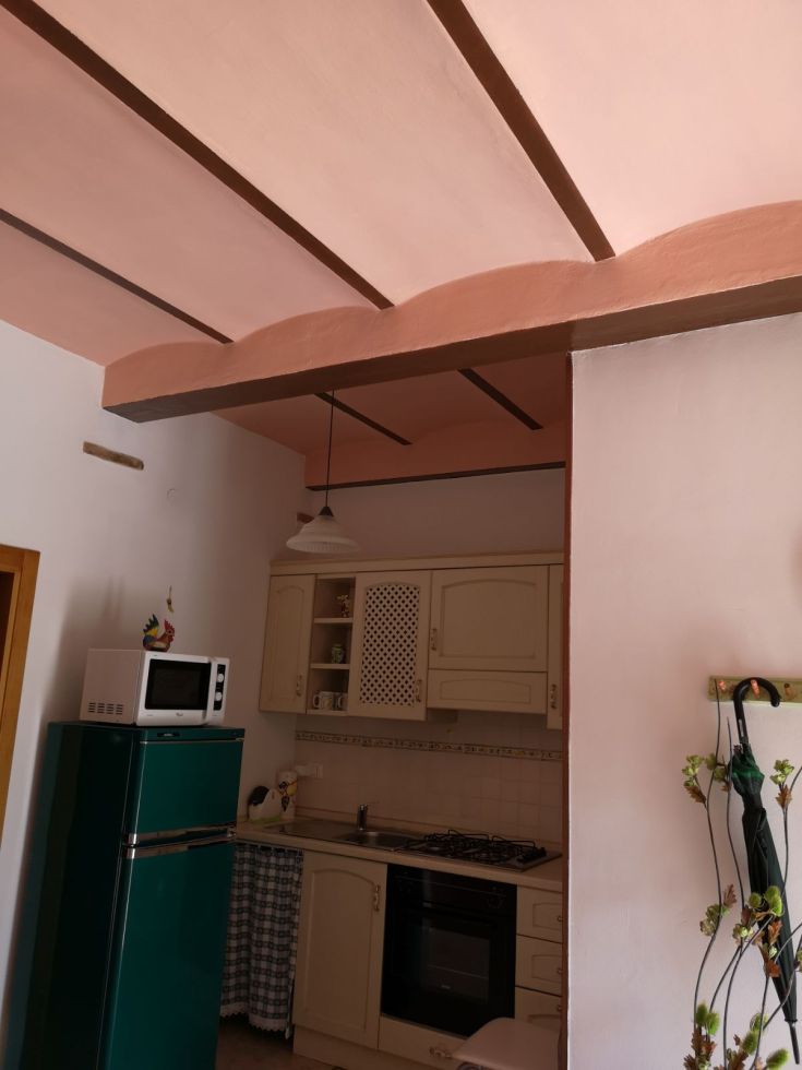 Intérieur d'une cuisine avec un plafond coloré et un mobilier simple et confortable.